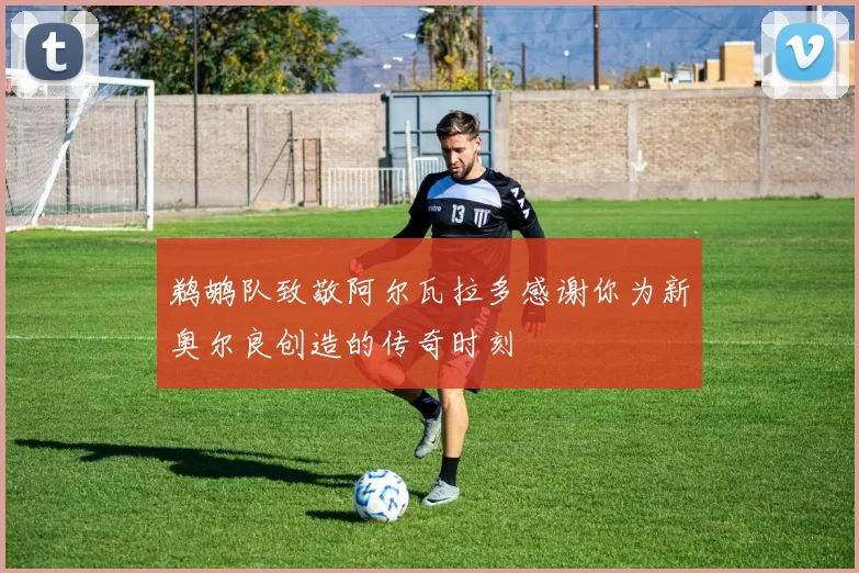 鹈鹕队致敬阿尔瓦拉多感谢你为新奥尔良创造的传奇时刻